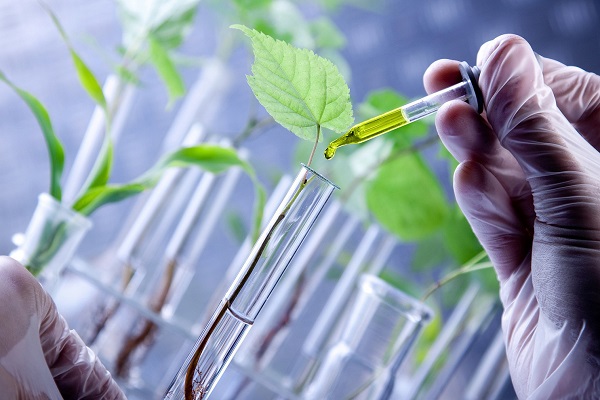 Agricultural Biotechnology