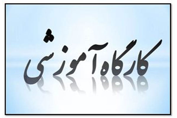 کارگاه های آموزشی آنلاین برگزار می شود